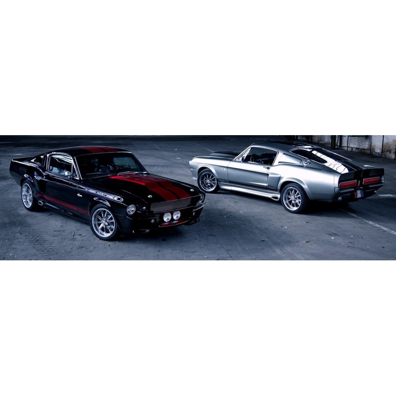 Kit carrozzeria Eleanor GT500 Qualità Premium 67-68