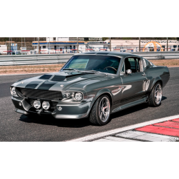Phare Eleanor GT500 en bas au centre