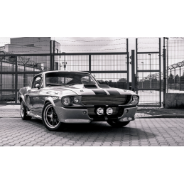 Phare Eleanor GT500 en bas au centre 67-68