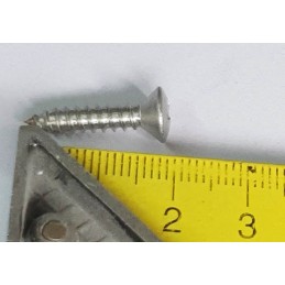 Vite per lente 4.2x19 croce 8mm in acciaio inox