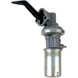 Pompa di carburante con filtro (289 302 351W) 65 (66-73)