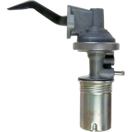Kraftstoffpumpe mit Filter (289 302 351W) 65 (66-73)