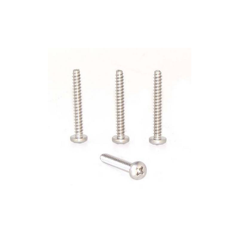 Backup lamp lens screws (4) 69-70