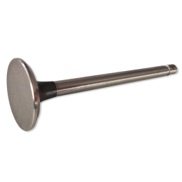Exhaust valve 289 / 302 Rail 64-73