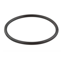 O-Ring Ölpumpe C4 64-73