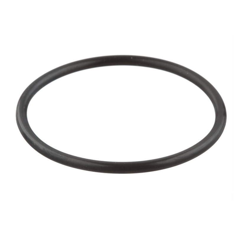 O-Ring Ölpumpe C4 64-73