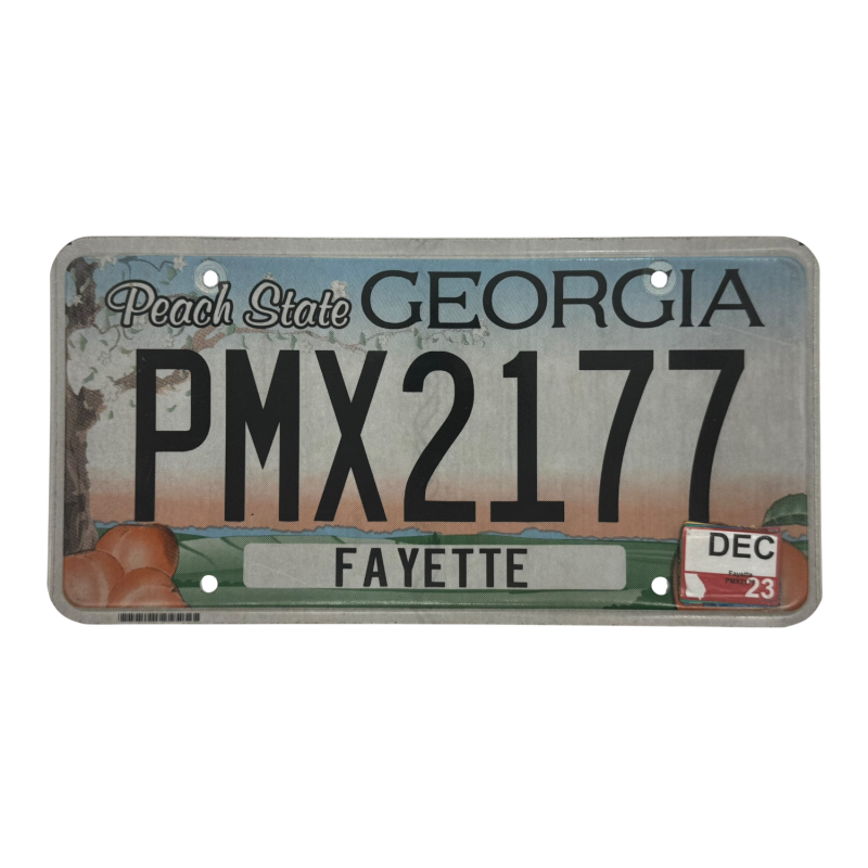 Georgia license plate