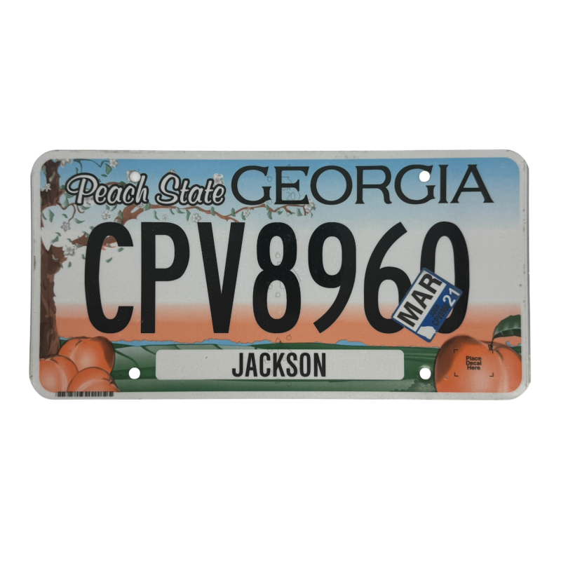 Georgia license plate