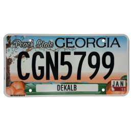 Georgia Nummernschild