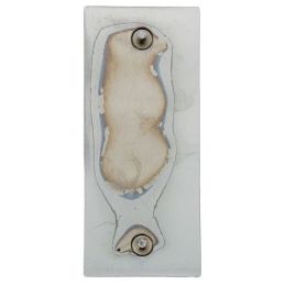 1967 For Mustang Shelby GT500 Emblem Kotflügel / S7MS-16098-B