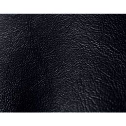 Door panels standard black 66