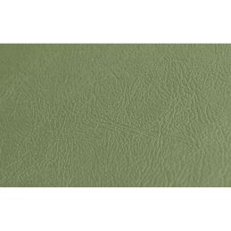 Standard side trim (Pony) Convertible Ivy gold 65-68