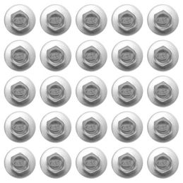 Body screw "Ford" stainless steel set 64-73