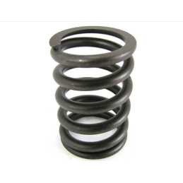 Valve spring 289 302 67-69