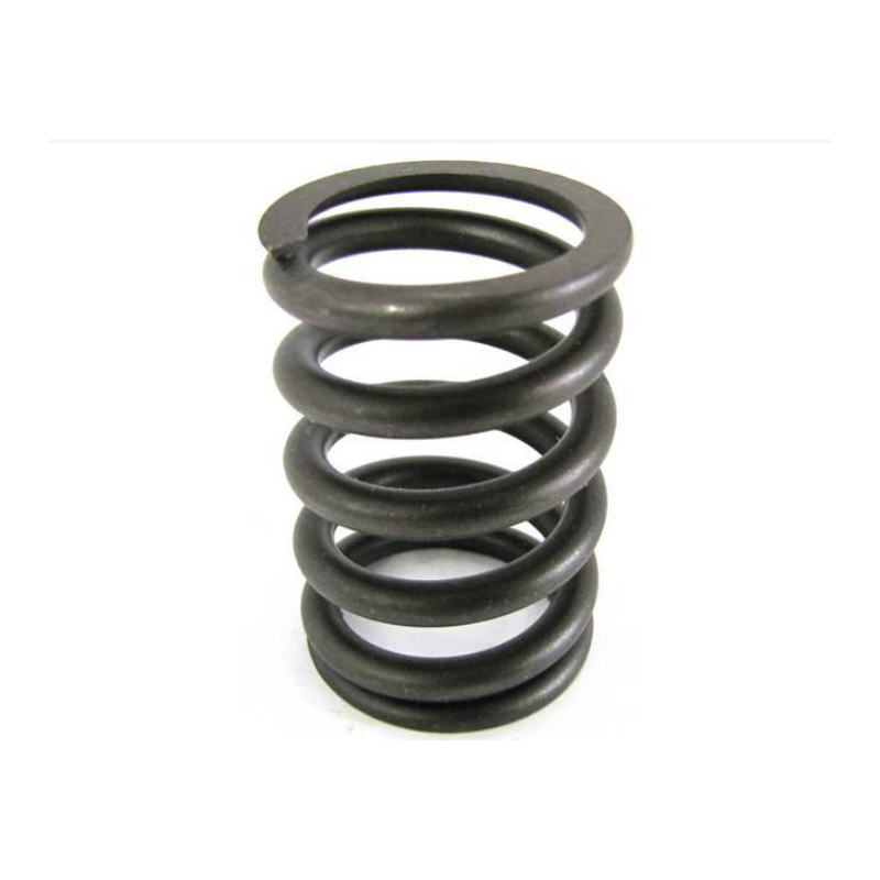 Valve spring 289 302 67-69