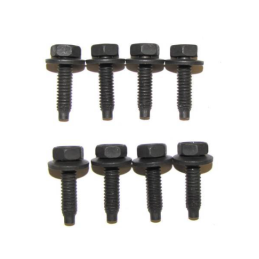 Screw set for headlight housing 65-66