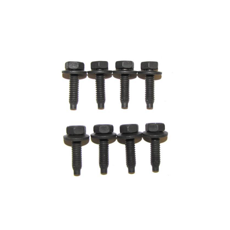 Screw set for headlight housing 65-66