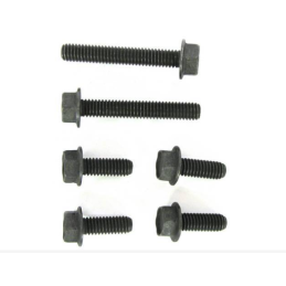 Screw set for timing chain housing (with generator) 260 289 65