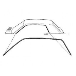 Coupe Roof Rail Seal (pair)...