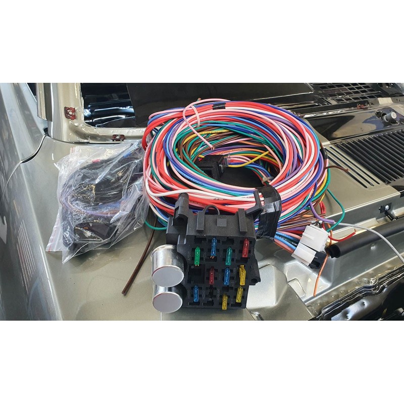 Universal wiring harness with 12 fuses
