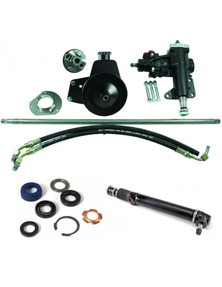 Cilindri a pressione Mustang 1970, pompe servosterzo, tubi, Borgeson, kit di revisione