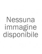 Oli e lubrificanti